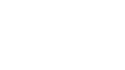 wema bank logo
